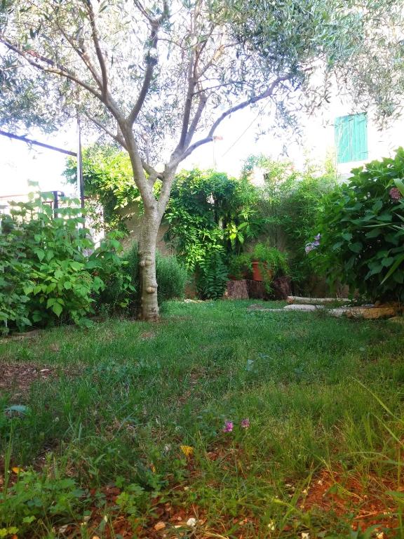Sonja Vacation House - Holiday Home