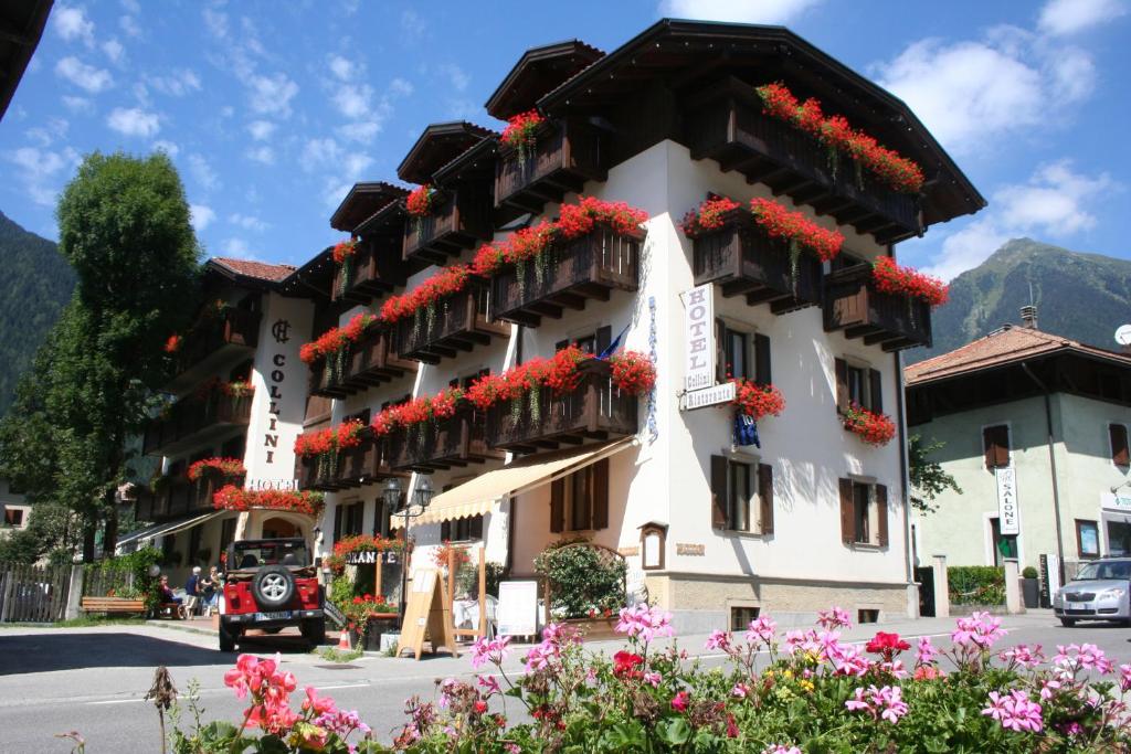 ein Gebäude mit Blumen auf der Seite in der Unterkunft Hotel Collini in Pinzolo