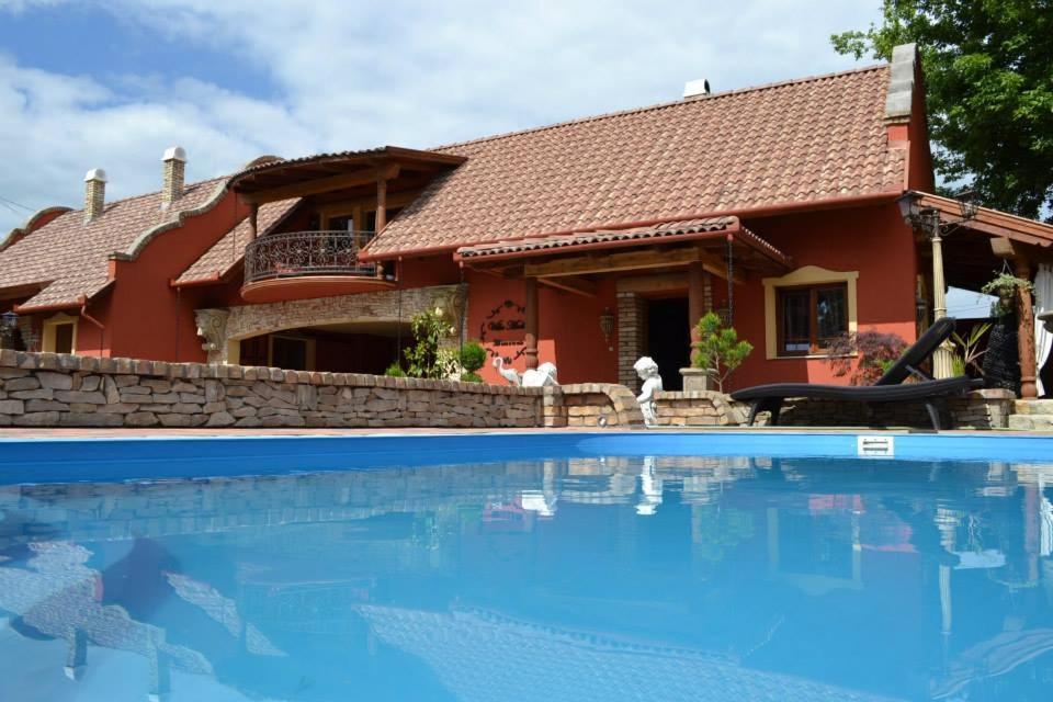 uma casa com uma piscina em frente em Villa Medici Vendégház em Kiskorös