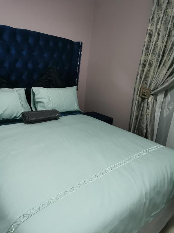 a bed with a blue headboard and a book on it at Blackpony Guesthouse in Kriel