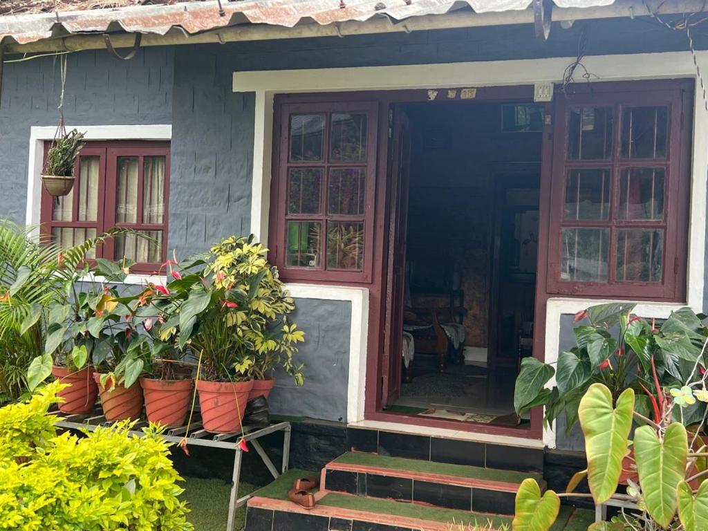 a house with potted plants in front of it at Periyar Cottage in Munnar