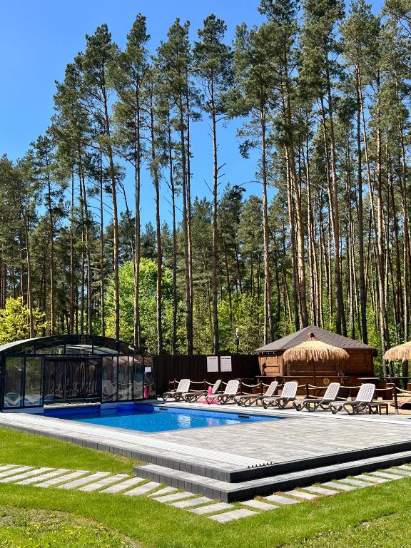 a swimming pool with chairs and a gazebo at Leśne Ustronie in Lubiszewo