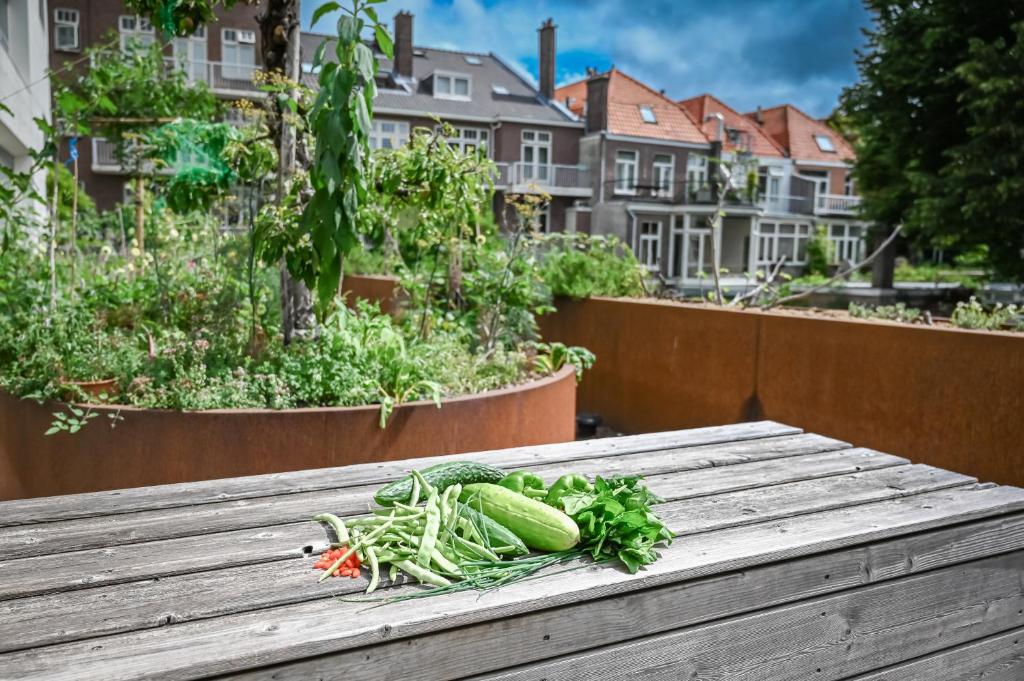 Court Garden Hotel - Resim 27