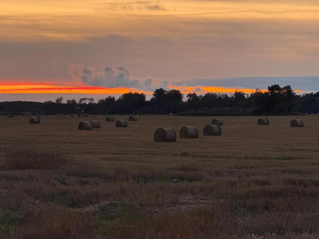 a field with hay bales in a sunset at Pärtli-Jaani Elukoda in Kelu