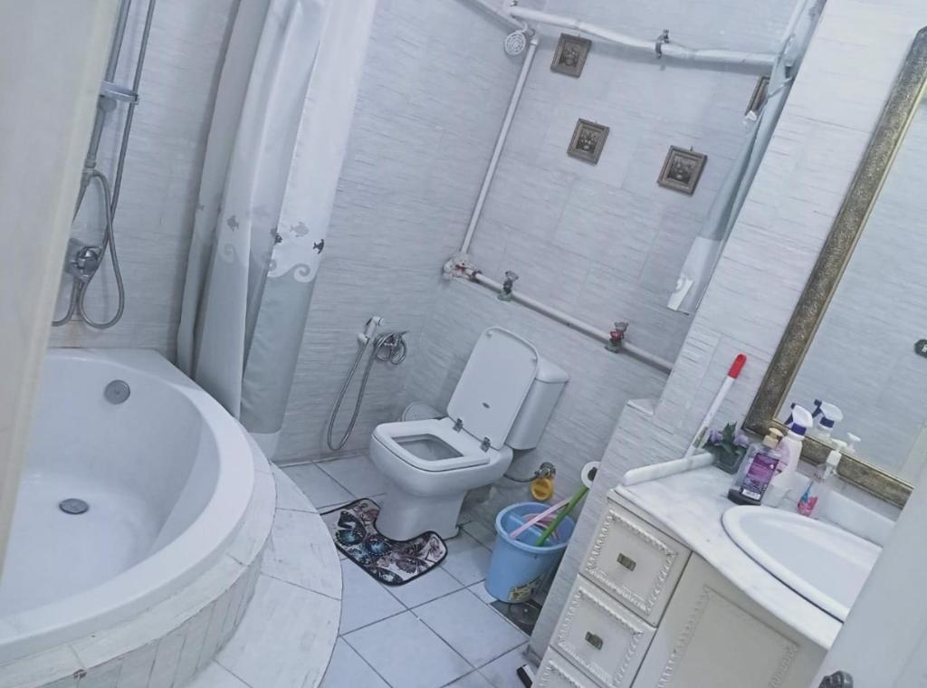 a bathroom with a toilet and a sink and a shower at Cairo , New Nozha in Cairo