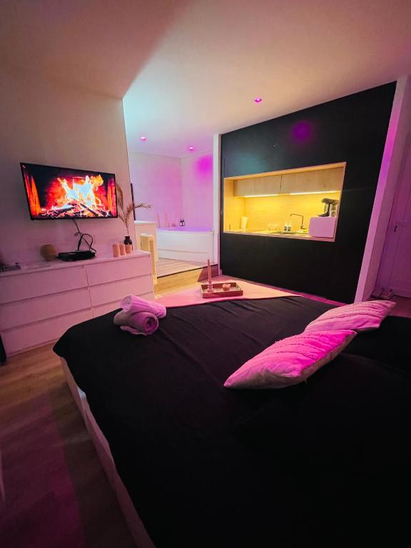a bedroom with a large bed and a television at La suite Tournonaise in Tournon-sur-Rhône