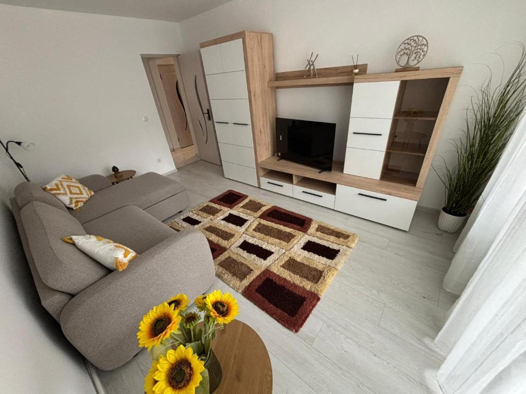 a living room with a couch and a table at RH Mures Stay in Târgu-Mureş