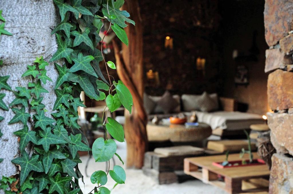 Posezení v ubytování Hotel Boutique Terra Diaguita & Spa