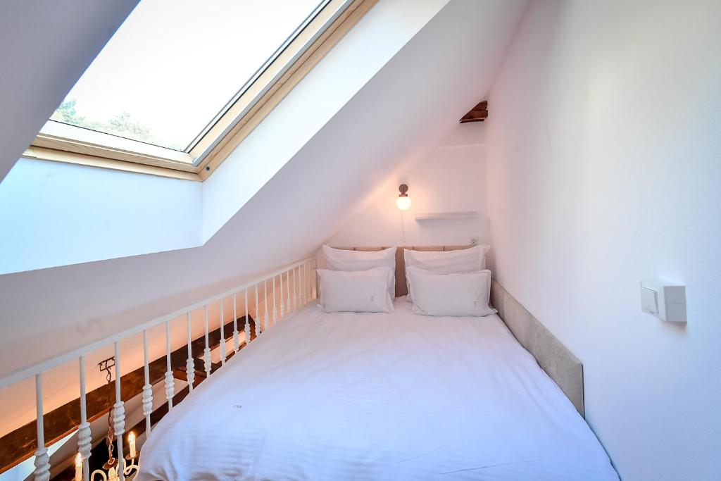 Casa Baritiu M - Resim 10