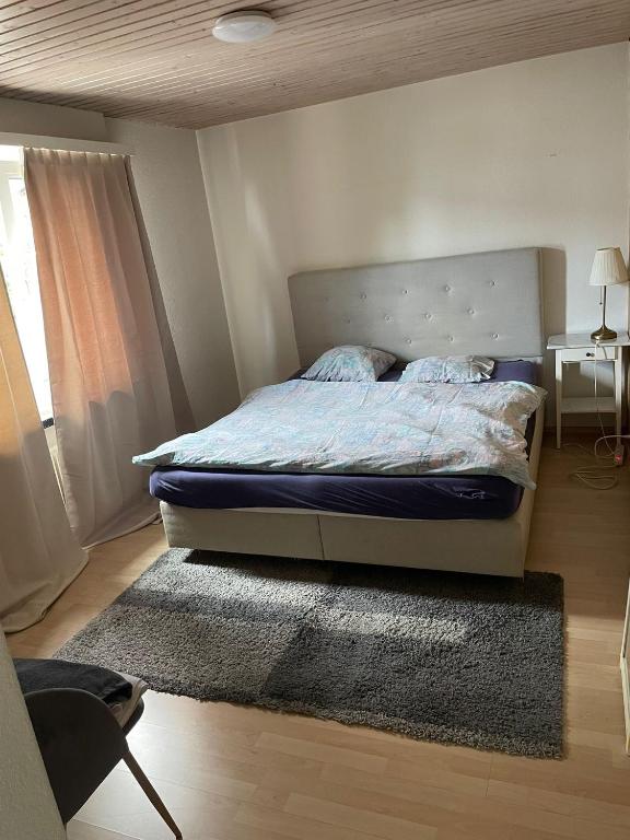 un dormitorio con una cama y una alfombra en Good Night at Liestal, en Frenkendorf