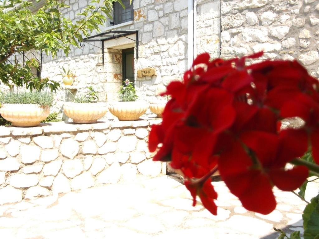 Fotografie z fotogalerie ubytování Sivros Stone Cottages v destinaci Sívros