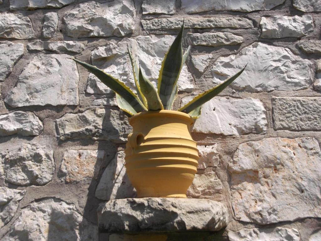 Fotografie z fotogalerie ubytování Sivros Stone Cottages v destinaci Sívros