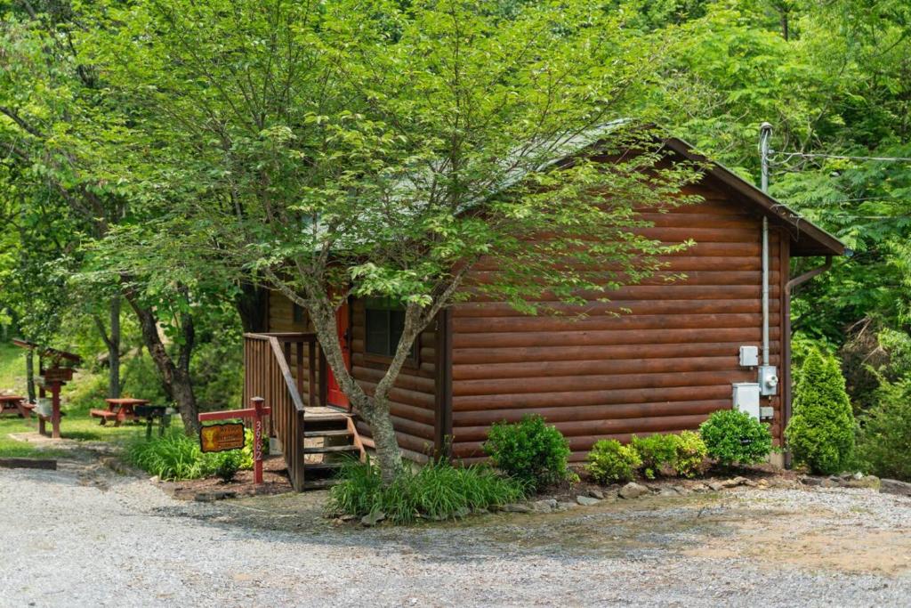 Сад в My Cup Overflows Cabin