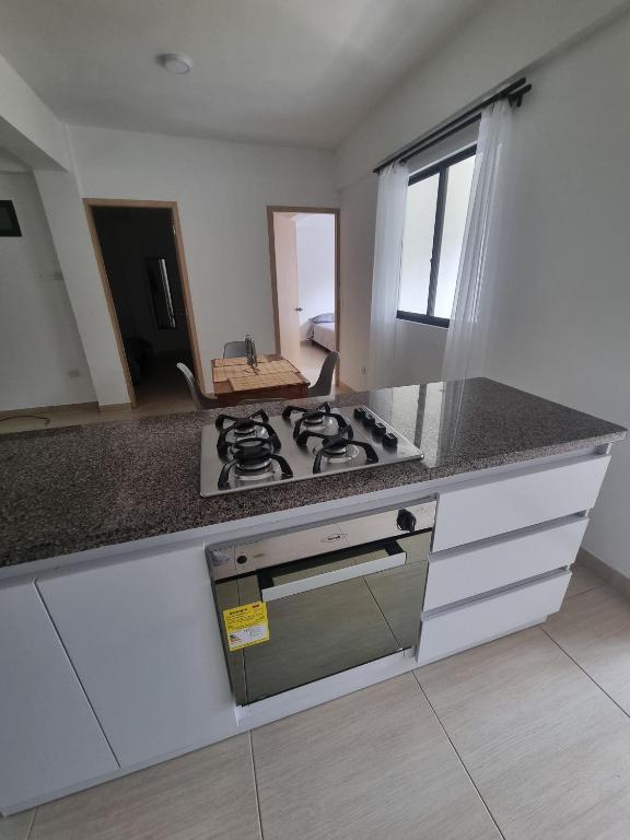 a kitchen with a stove and a counter top at apartamento acogedor, ambiente tranquilo, y muy central en segundo piso in Estación El Salto