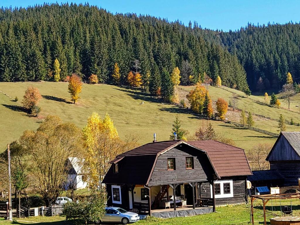 Gallery image of Cabana Soarelui,Napos vendégház in Valea Boroş