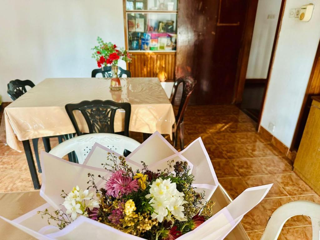 Lazy Bear Best Hostel in Kandy - 8