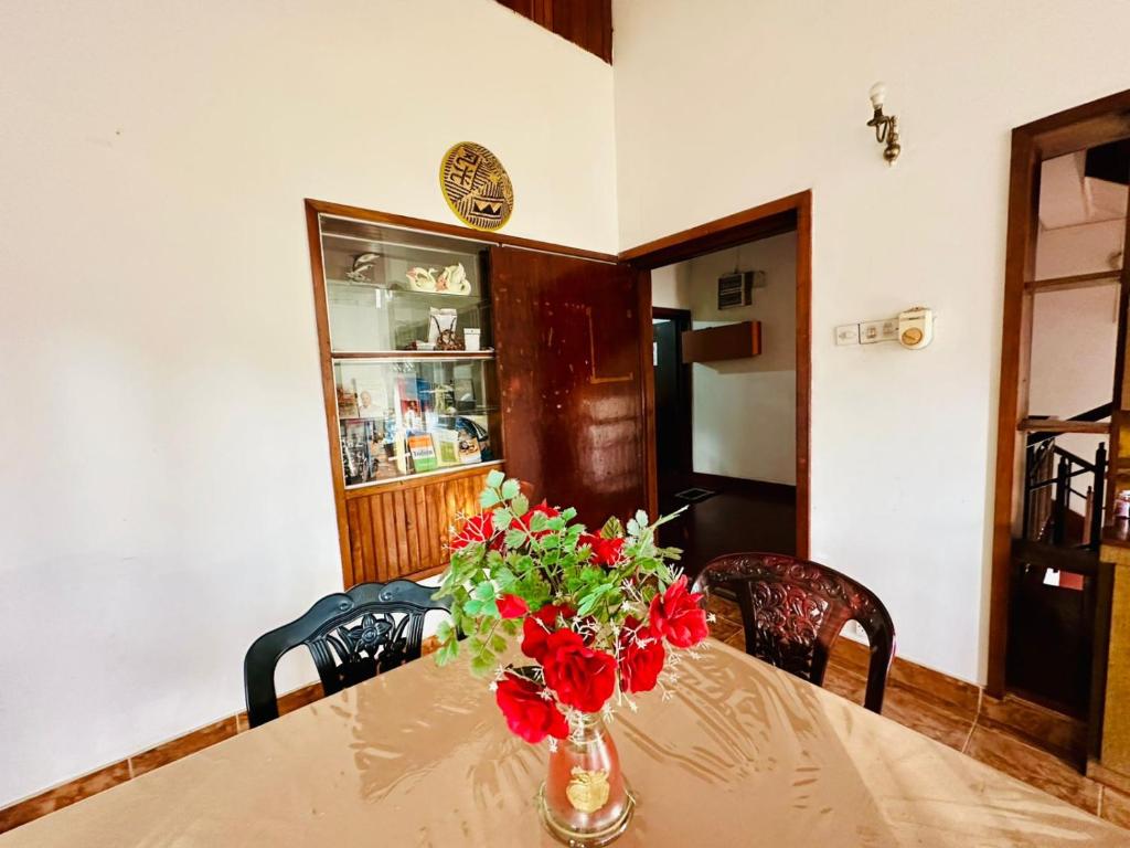 Lazy Bear Best Hostel in Kandy - 9