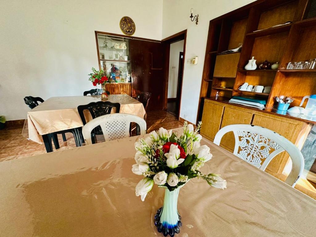 Lazy Bear Best Hostel in Kandy - 10