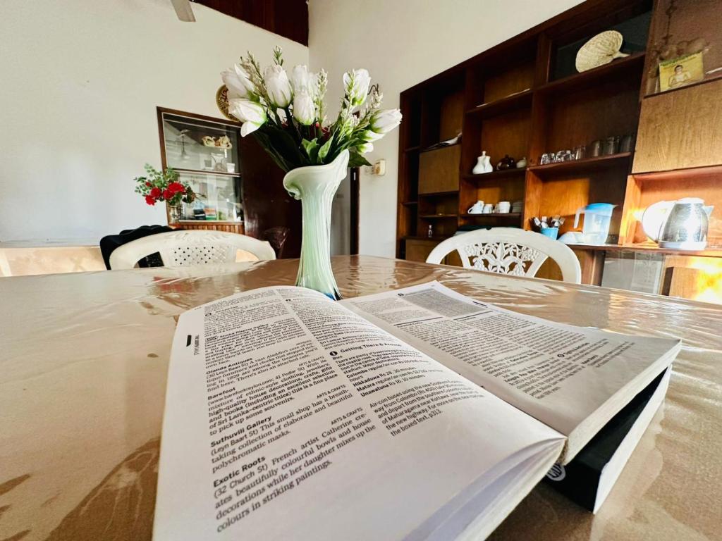 Lazy Bear Best Hostel in Kandy - 12