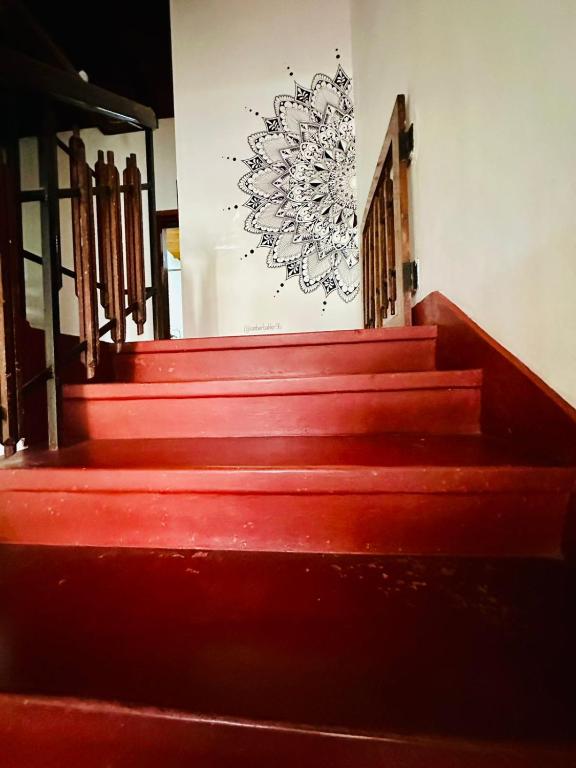 Lazy Bear Best Hostel in Kandy - 14