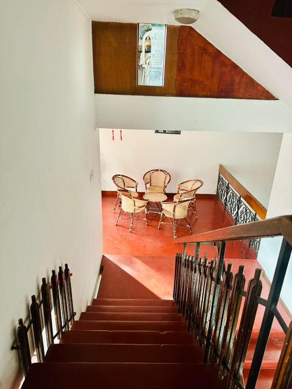 Lazy Bear Best Hostel in Kandy - 15