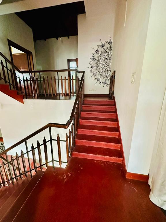 Lazy Bear Best Hostel in Kandy - 17