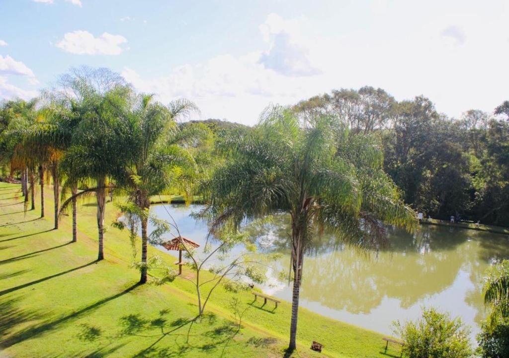 Phong cảnh thiên nhiên gần căn hộ