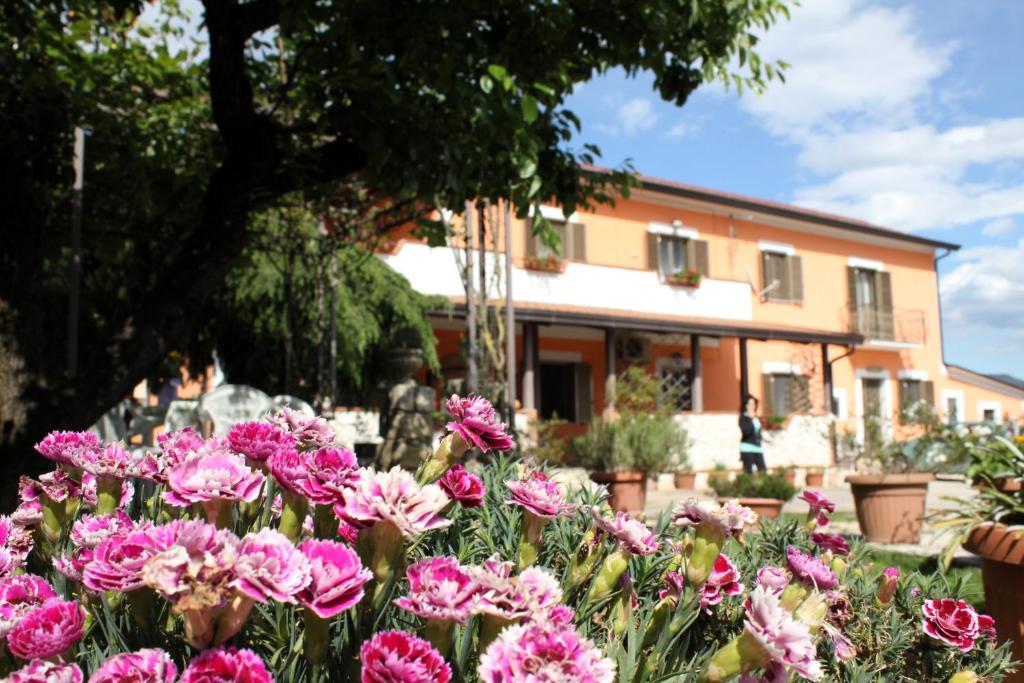 un ramo de flores rosas delante de un edificio en B&B Casale Shanti, en Piedimonte San Germano