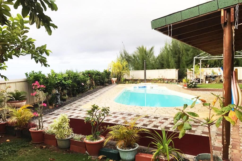 Chambres au sommet de la montagne - photo 10 - Tahiti, Polynésie