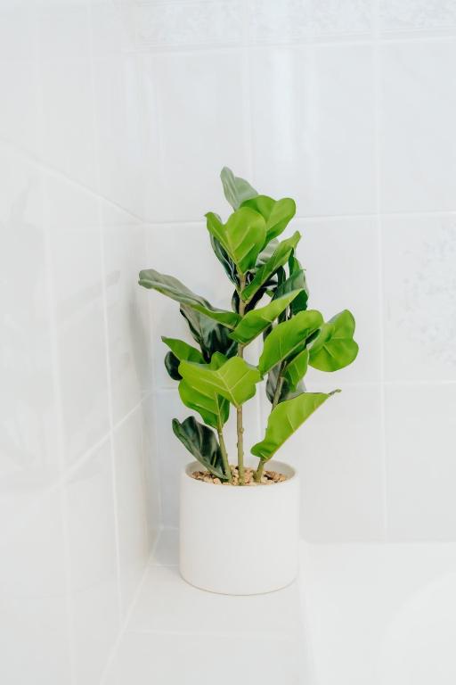 3 Bedroom House Rotorua Fully Fenced & Secure - Resim 23