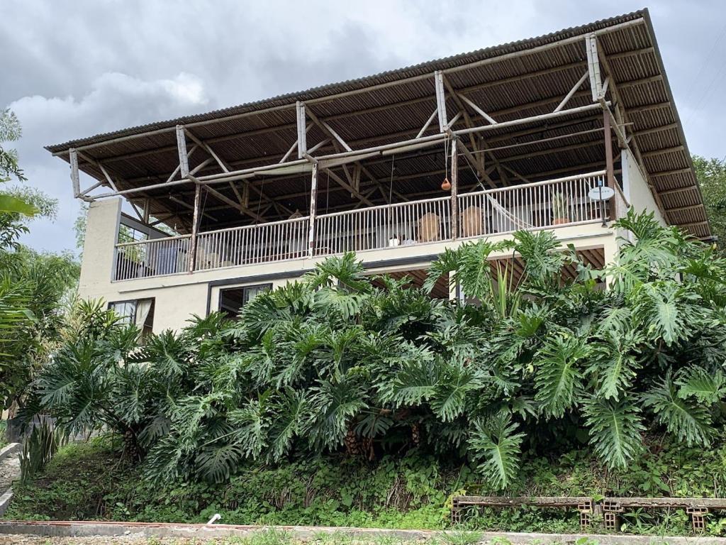 - un balcon au-dessus des arbres dans l'établissement Eco Finca El Guadual - casa completa, à Manizales