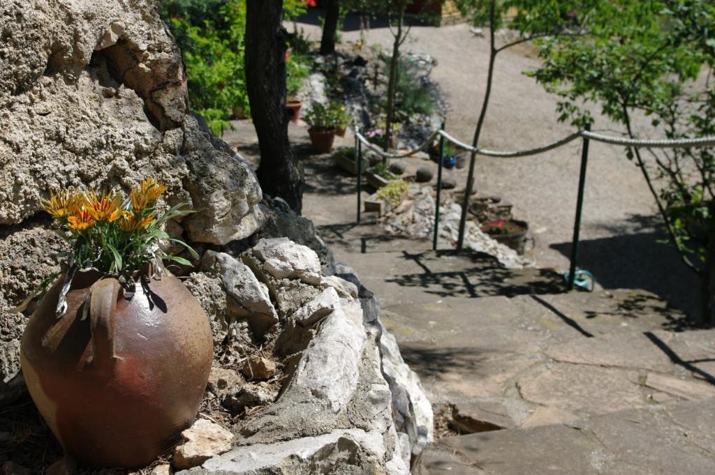 Fotografie z fotogalerie ubytování Mas De Font Chaude v destinaci Clermont-lʼHérault