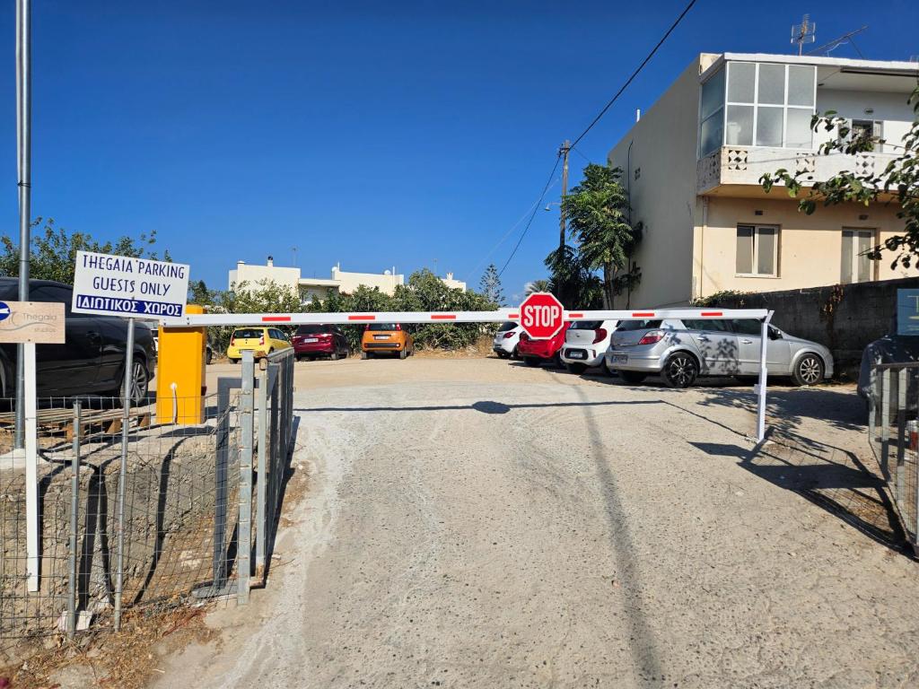 Thegaia Studios - 15