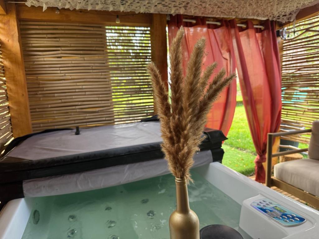 Φωτογραφία από το άλμπουμ του Escale dans les Vosges avec jacuzzi privatif σε Deyvillers