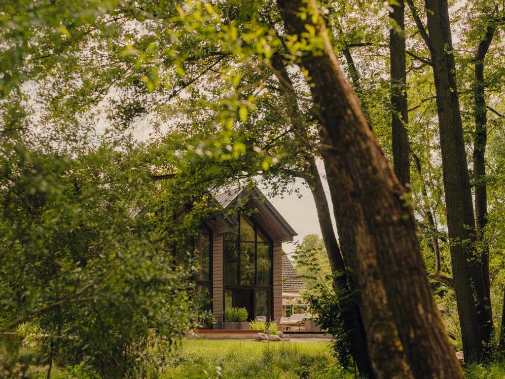 a small house in the middle of the forest at Green View Tornow in Tornow