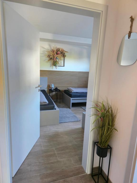 Tiger Apartment - 17