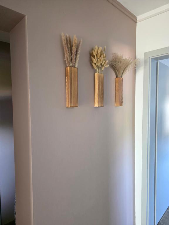 Tiger Apartment - 15