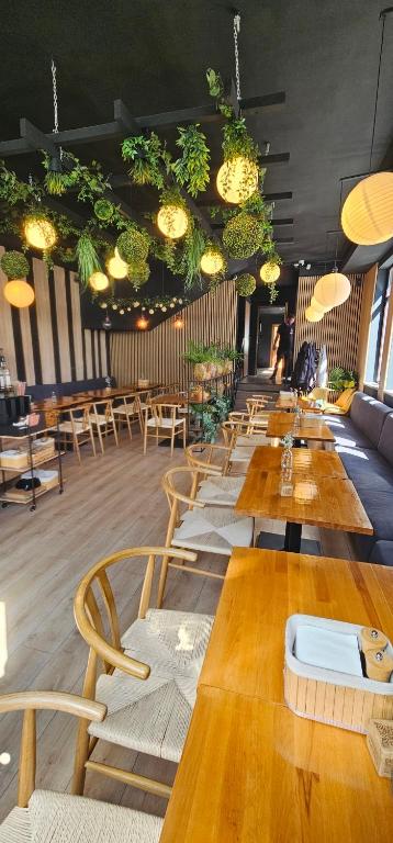 Hotel Olimp - Resim 29