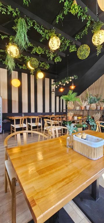 Hotel Olimp - Resim 16