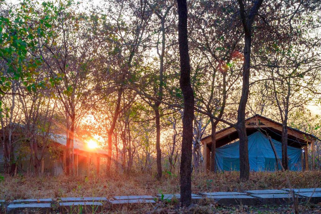 Una tienda azul en medio de un bosque con la puesta de sol en Daga Tented Camp, en Mikumi