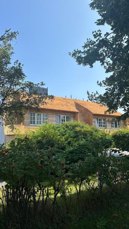 a house with a bush in front of it at NEU Keitum - Moderne Gemütlichkeit unter Reet in Sylt