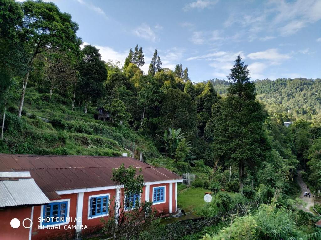 Φυσικό τοπίο κοντά σε αυτό το δωμάτιο σε οικογενειακή κατοικία