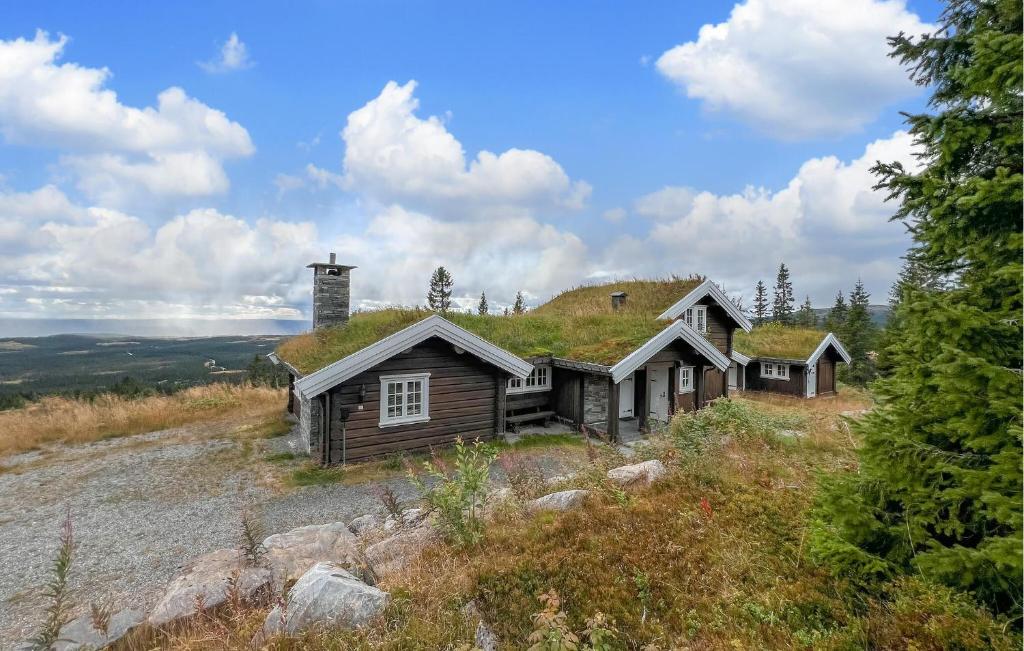 a house with a grass roof on top of a hill at Nice Home In Lillehammer in Lillehammer
