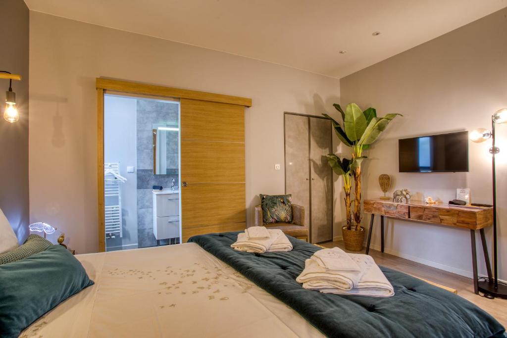 O'Myosotis - 400m Centre Historique - Parking Gratuit - Piscine et Jardin - 19