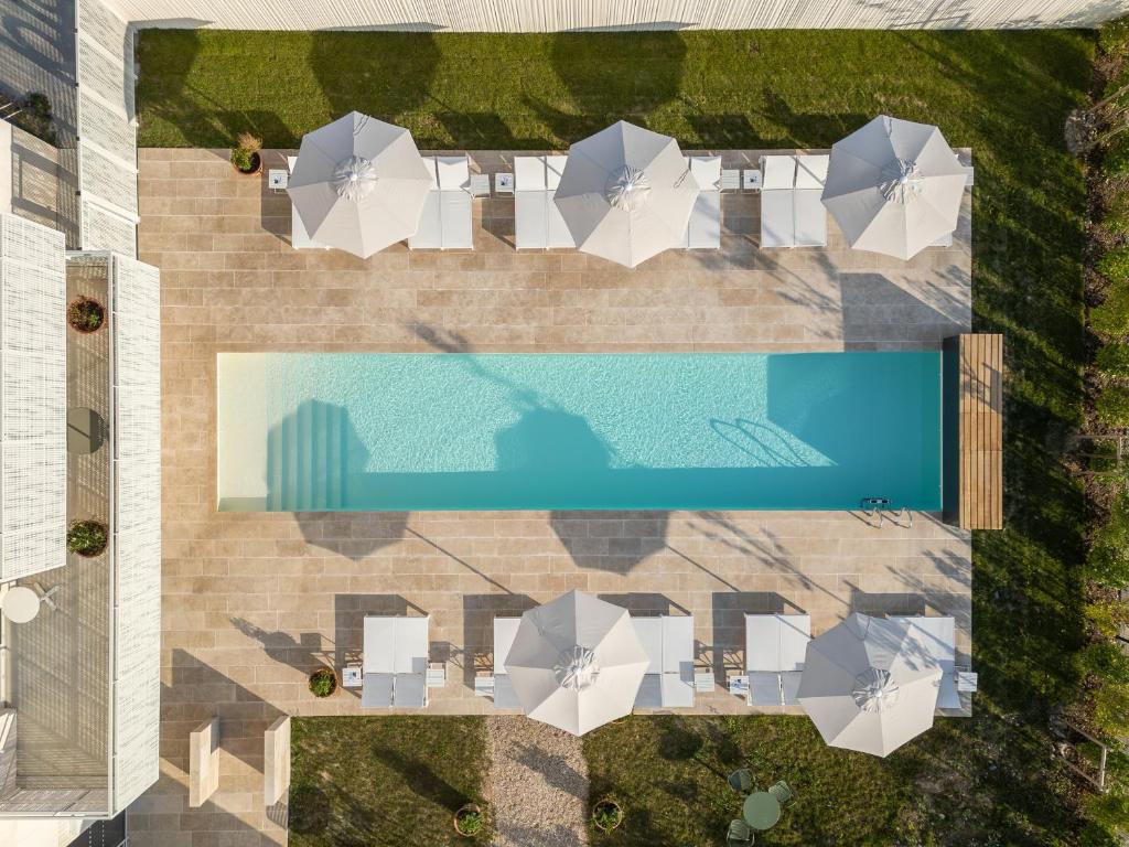 an overhead view of a swimming pool in a villa at voco Beaune , Cité des Vins by IHG in Beaune