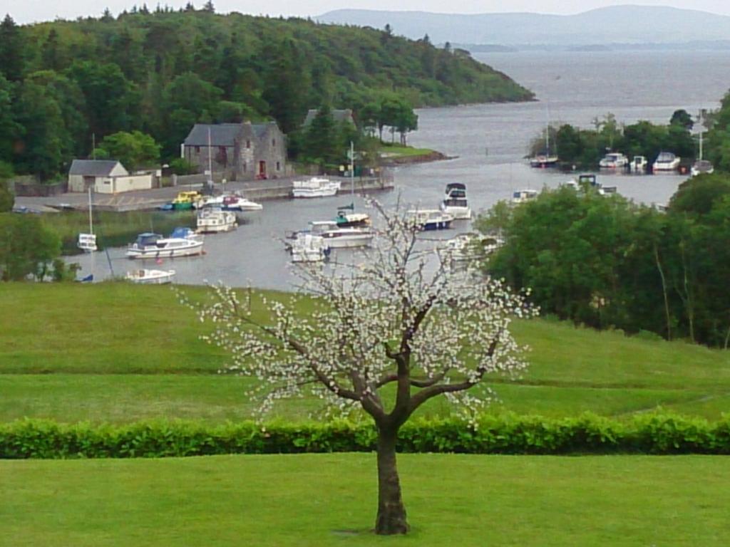 a tree in a field next to a body of water at Villa Pio Luxury Apartment in Cong