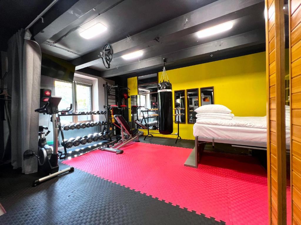 a room with a gym with a bed and a red carpet at Apartment Sport & Sauna Prague in Prague
