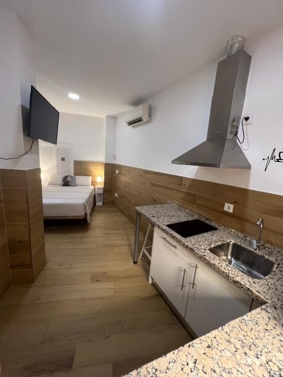 Kuchyň nebo kuchyňský kout v ubytování APARTAMENTOS EN EL CENTRO HISTÓRICO DE SEVILLA HERCULES SEVILLa