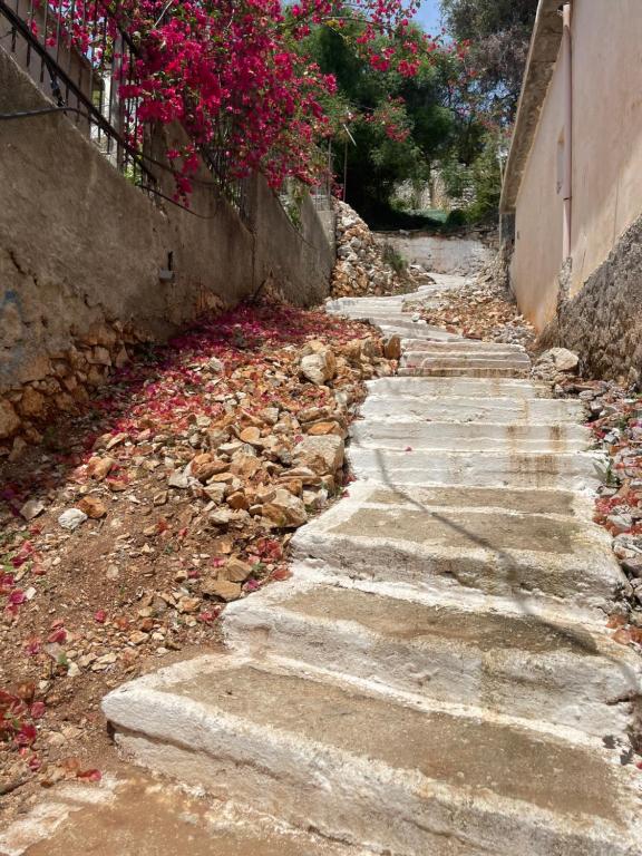 Fotografie z fotogalerie ubytování Enopia Apartments Himara v destinaci Himare