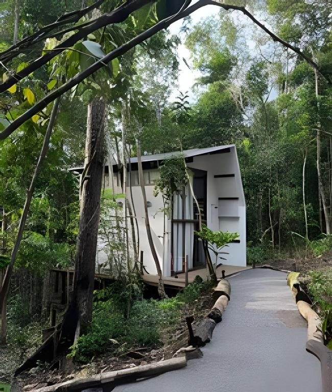 a house in the middle of a forest at Itacaré Ecolodge - Experiencia de Imersão na Mata Atlântica in Itacaré